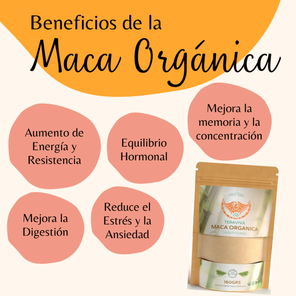 MACA Y ASHWAGANDHA DUO ADAPTÓGENO - Image 2
