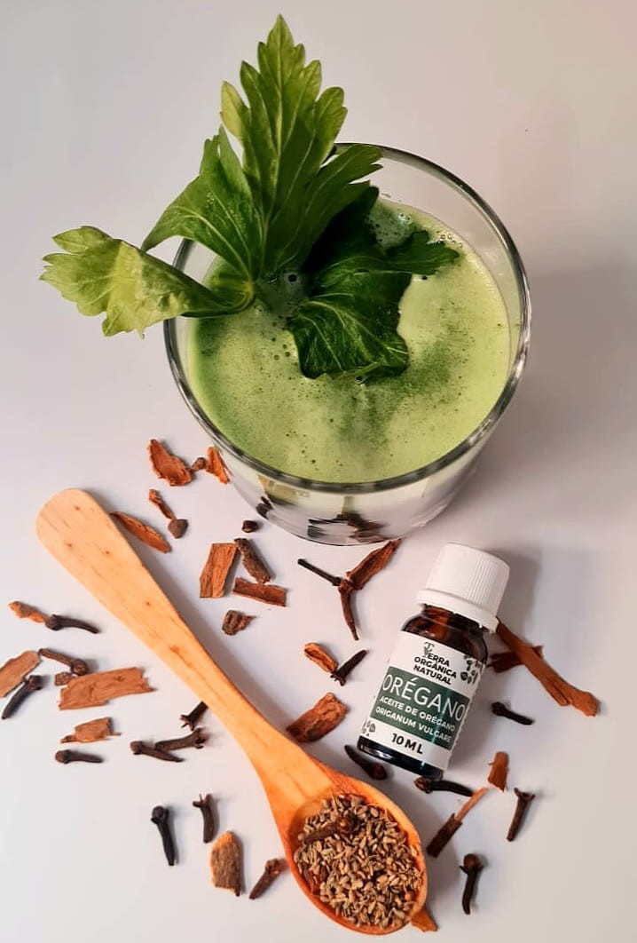 aceite de orégano natural con planta de orégano y bebida verde saludable