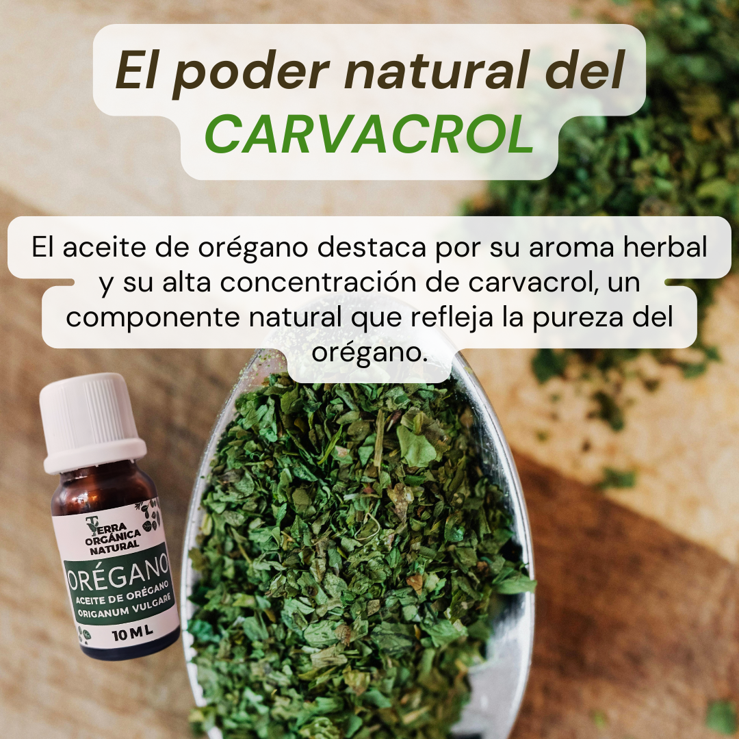 DUO ACEITE DE ORÉGANO - Image 5