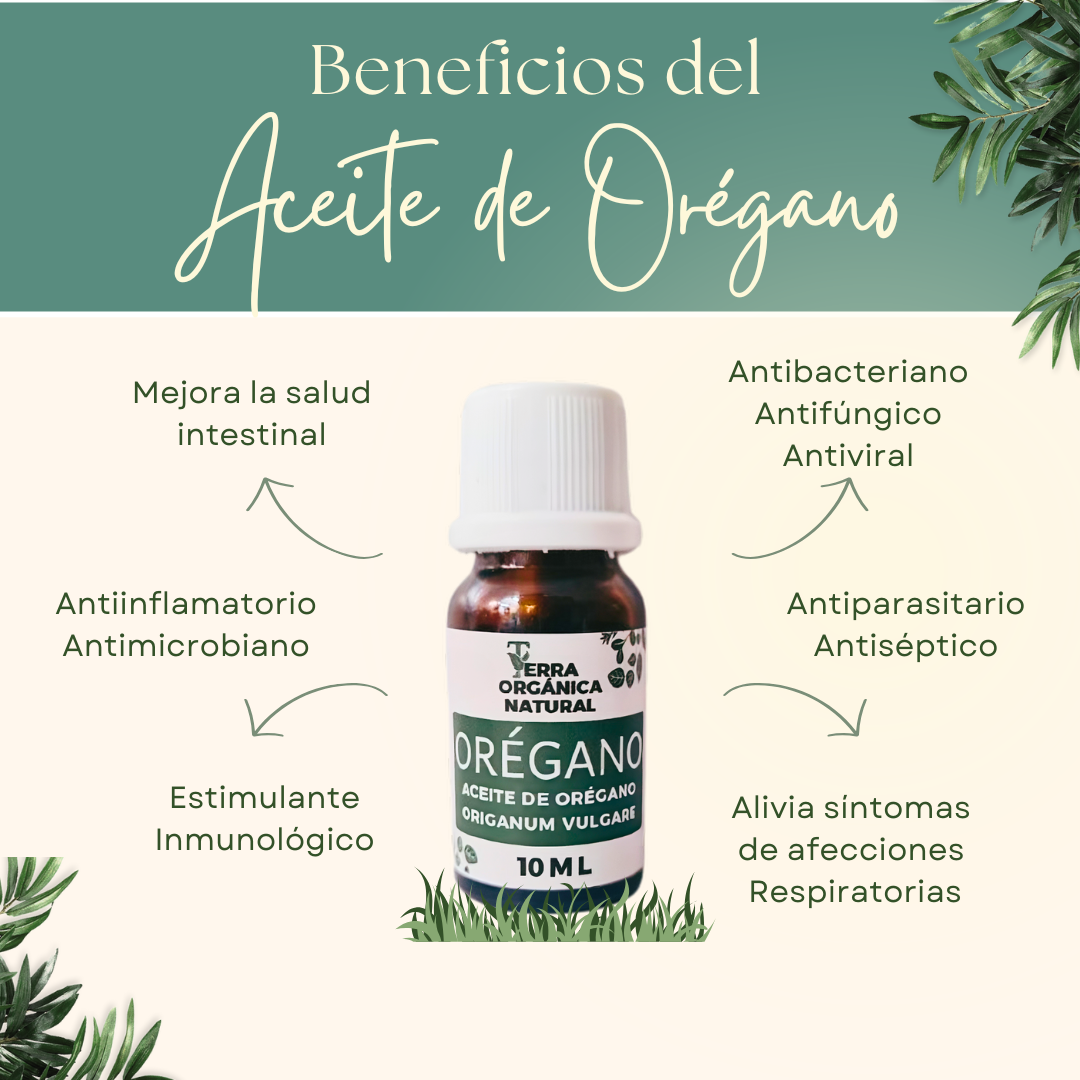 DUO ACEITE DE ORÉGANO - Image 4